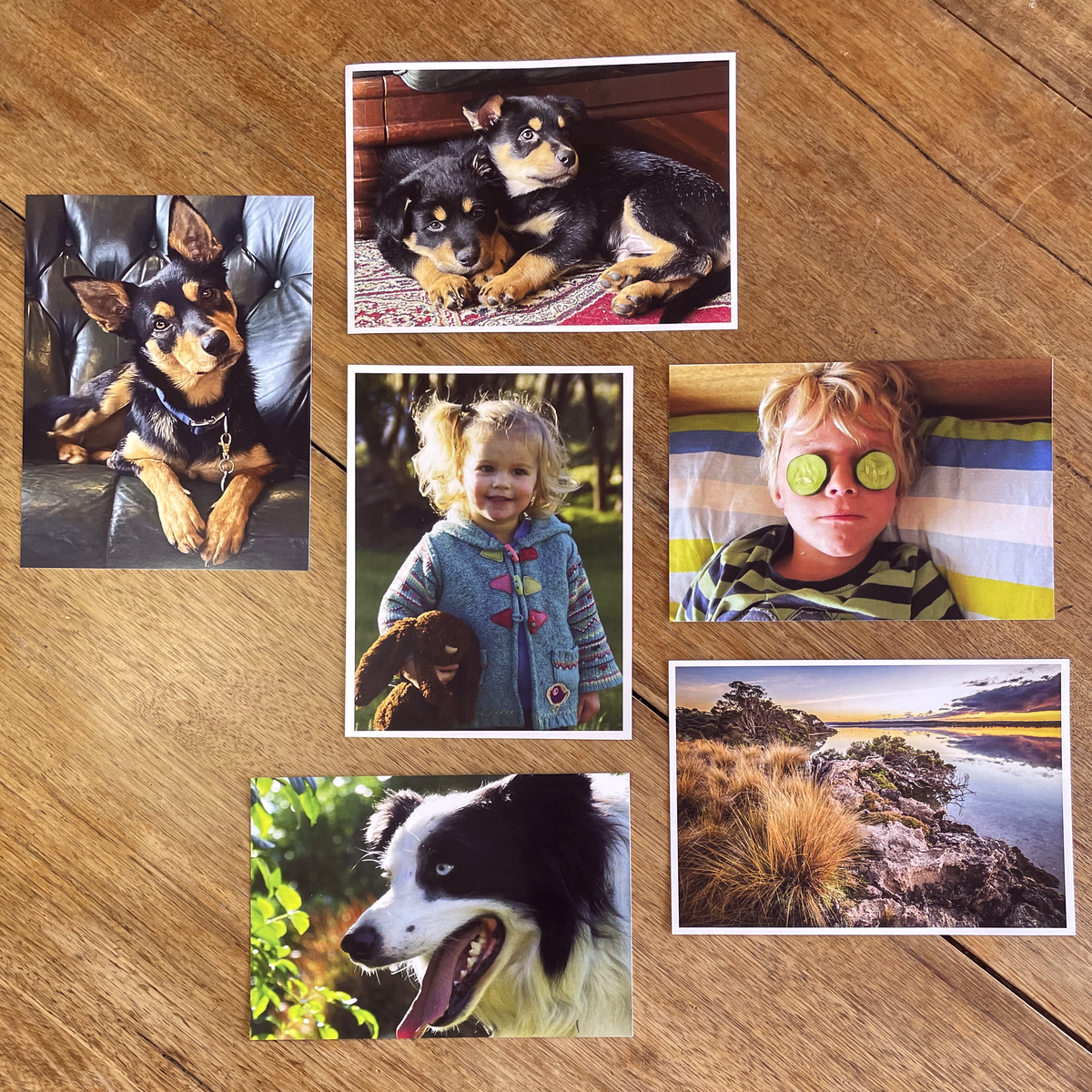Print small enlargements (5x7")