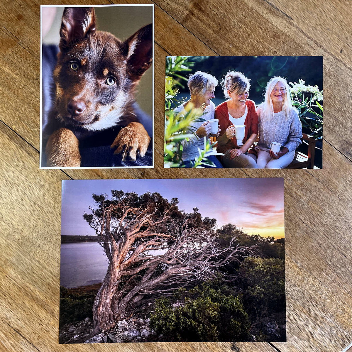 Print big enlargements (A4 and A3)