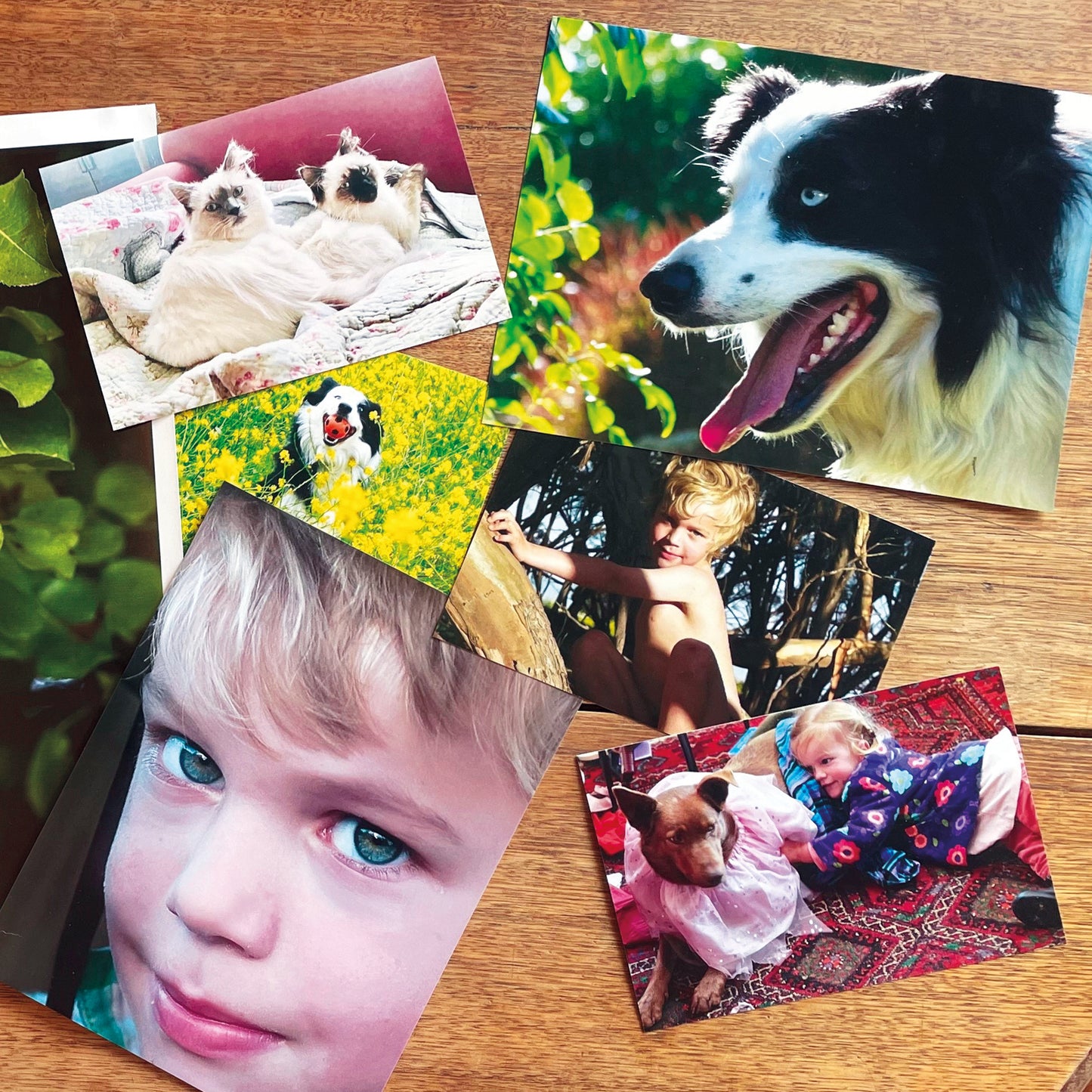 Print your happy snaps
